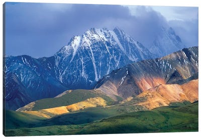 Alaska Range And Foothills, Denali National Park, Alaska Canvas Art Print - Tim Fitzharris