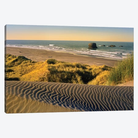 Coastline, Pistol River Beach, Oregon Canvas Print #TFI237} by Tim Fitzharris Canvas Artwork