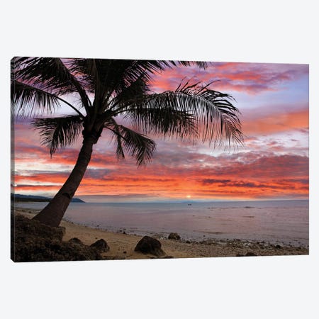 Coconut Palm At Sunset Near Dimiao, Bohol Island, Philippines Canvas Print #TFI238} by Tim Fitzharris Art Print