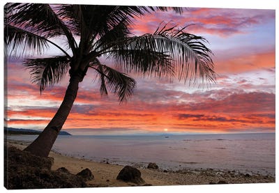 Coconut Palm At Sunset Near Dimiao, Bohol Island, Philippines Canvas Art Print - Philippines
