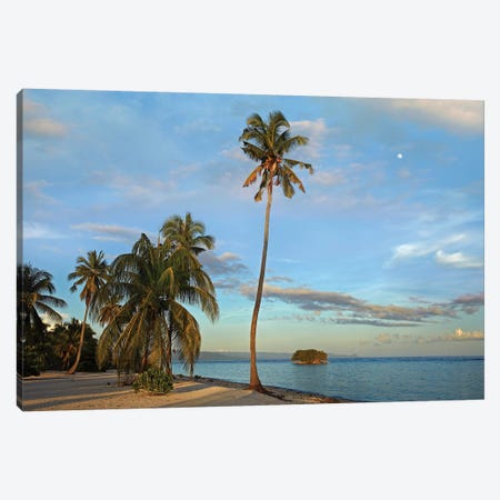 Coconut Palm Trees On Pamilacan Island, Philippines Canvas Print #TFI239} by Tim Fitzharris Art Print