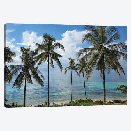 Coconut Palm Trees, Bikini Beach, Panglao Island, Philippines Canvas Print #TFI240} by Tim Fitzharris Canvas Artwork
