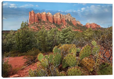 Coffee Pot Rock Near Sedona, Arizona Canvas Art Print - Arizona Art