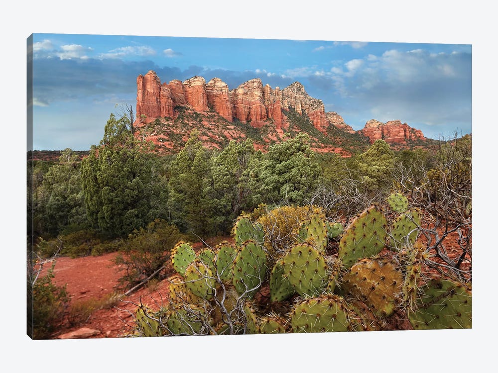 Coffee Pot Rock Near Sedona, Arizona by Tim Fitzharris 1-piece Canvas Print