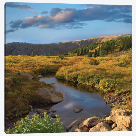 Alpine Stream, Rollins Pass Near Winter Park, Colorado Canvas Print #TFI25} by Tim Fitzharris Canvas Art Print