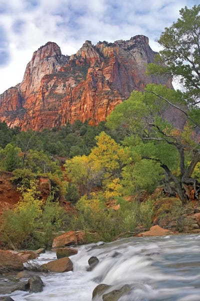 Utah: Court Of The Patriarchs, Zion National Park, Utah by Tim Fitzharris