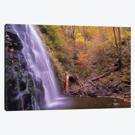 Crabtree Falls Cascading Into Stream In Autumn Forest, Blue Ridge Parkway, North Carolina Canvas Print #TFI278} by Tim Fitzharris Canvas Print