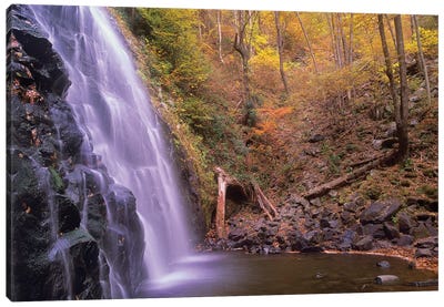 Crabtree Falls Cascading Into Stream In Autumn Forest, Blue Ridge Parkway, North Carolina Canvas Art Print - North Carolina