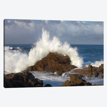 Crashing Waves At Garrapata State Beach, Big Sur, California Canvas Print #TFI280} by Tim Fitzharris Canvas Artwork