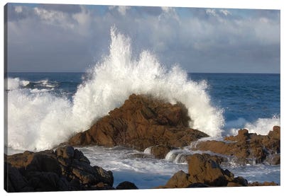 Crashing Waves At Garrapata State Beach, Big Sur, California Canvas Art Print - Wave Art