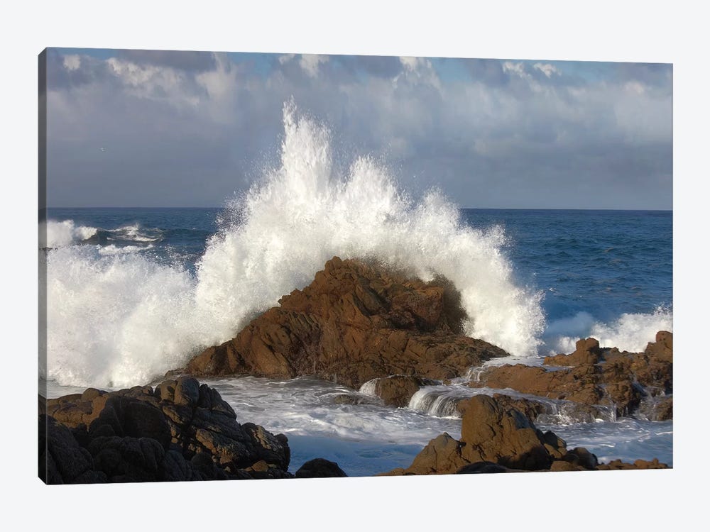 Crashing Waves At Garrapata State Beach, Big Sur, California by Tim Fitzharris 1-piece Canvas Art Print