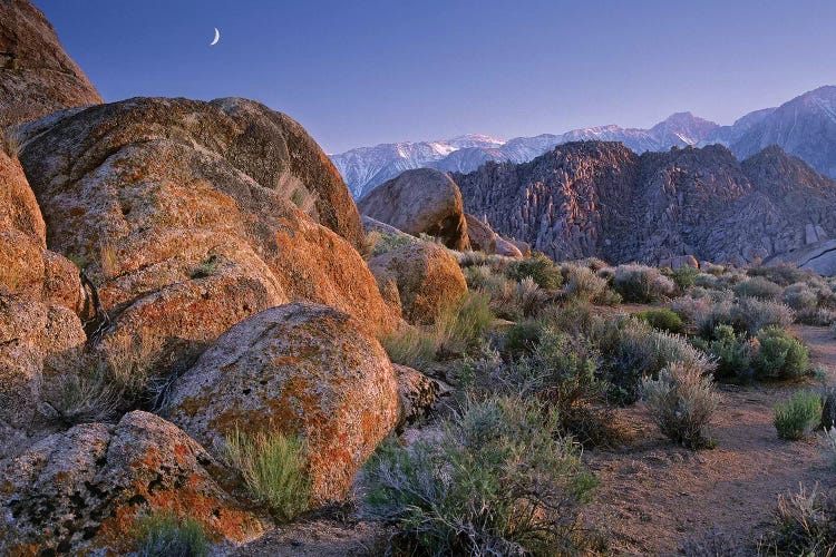 Crescent Moon Rising Over Sierra Nevada Range As Seen From Alabama Hills, California