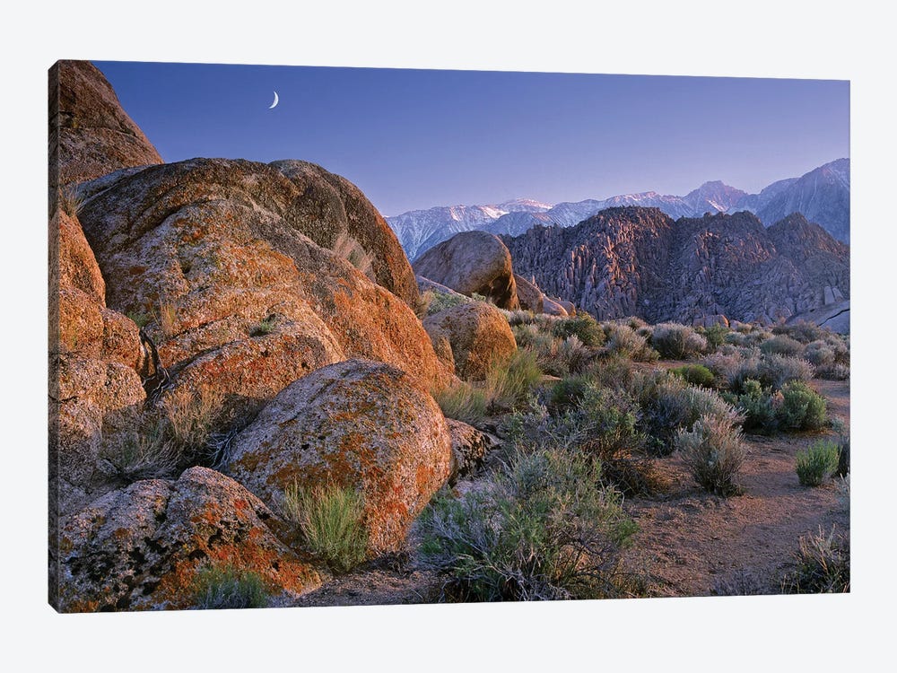 Crescent Moon Rising Over Sierra Nevada Range As Seen From Alabama Hills, California by Tim Fitzharris 1-piece Canvas Print