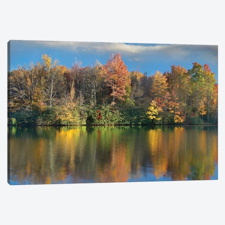 Deciduous Forest In Autumn Along Price Lake, Blue Ridge Parkway, North Carolina Canvas Print #TFI291} by Tim Fitzharris Canvas Print