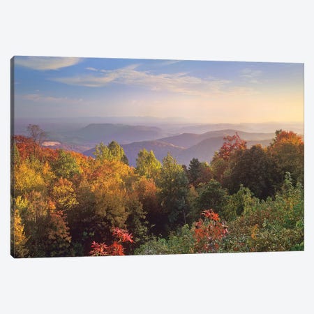 Deciduous Forest In Autumn, Blue Ridge Mountains From Doughton Park, North Carolina Canvas Print #TFI292} by Tim Fitzharris Art Print