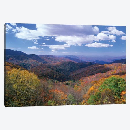 Deciduous Forest In The Autumn From Thunderstruck Ridge Overlook, Blue Ridge Parkway, North Carolina Canvas Print #TFI295} by Tim Fitzharris Canvas Wall Art