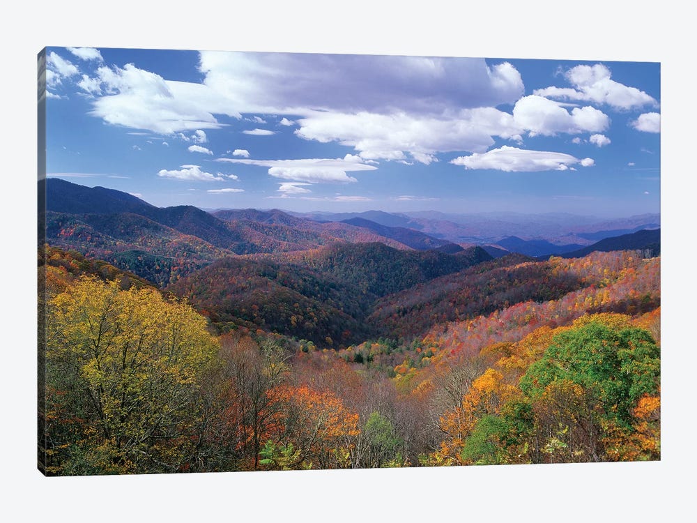 Deciduous Forest In The Autumn From Thunderstruck Ridge Overlook, Blue Ridge Parkway, North Carolina by Tim Fitzharris 1-piece Canvas Art Print