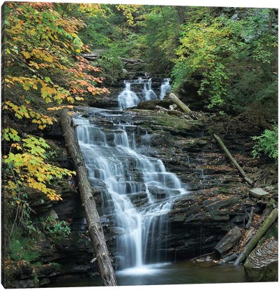 Delaware Falls, Ricketts Glen State Park, Pennsylvania Canvas Art Print - Waterfall Art