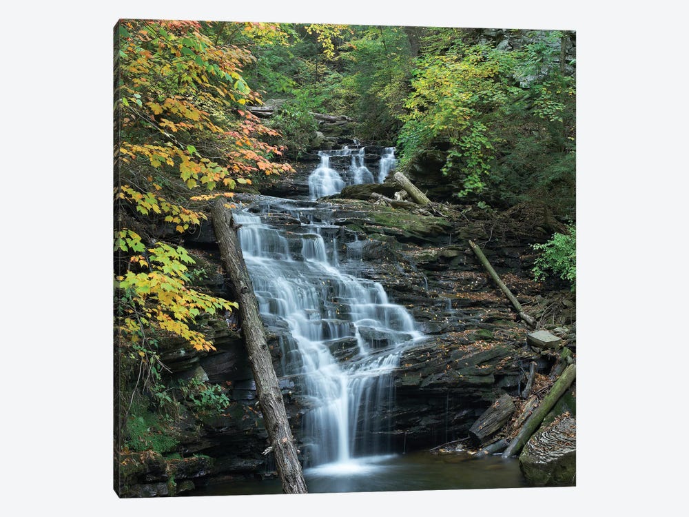Delaware Falls, Ricketts Glen State Park, Pennsylvania by Tim Fitzharris 1-piece Canvas Wall Art