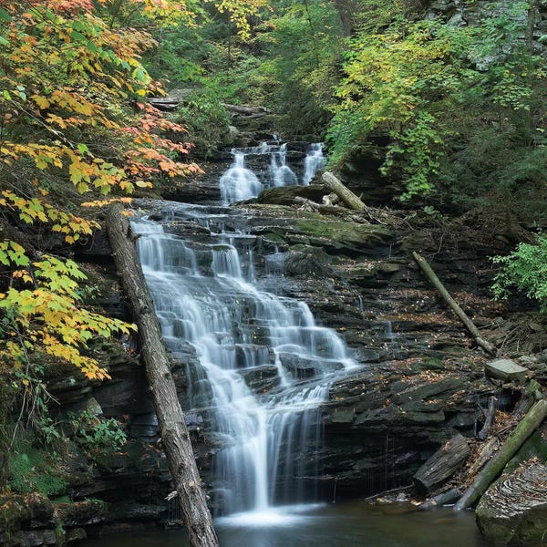 Pennsylvania: Delaware Falls, Ricketts Glen State Park, Pennsylvania by Tim Fitzharris