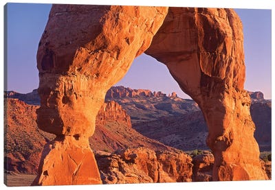 Delicate Arch And La Sal Mountains, Arches National Park, Utah II Canvas Art Print - Arches National Park