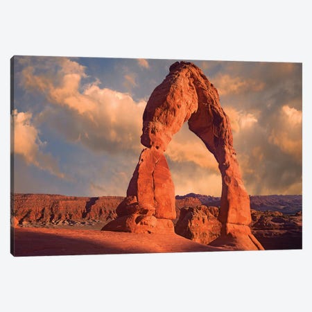Delicate Arch In Arches National Park, Utah III Canvas Print #TFI301} by Tim Fitzharris Art Print