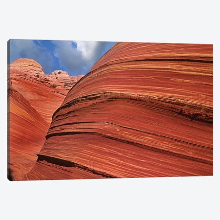 Detail Of The Wave, A Navajo Sandstone Formation In Paria Canyon-Vermilion Cliffs Wilderness, Arizona I Canvas Print #TFI304} by Tim Fitzharris Canvas Artwork