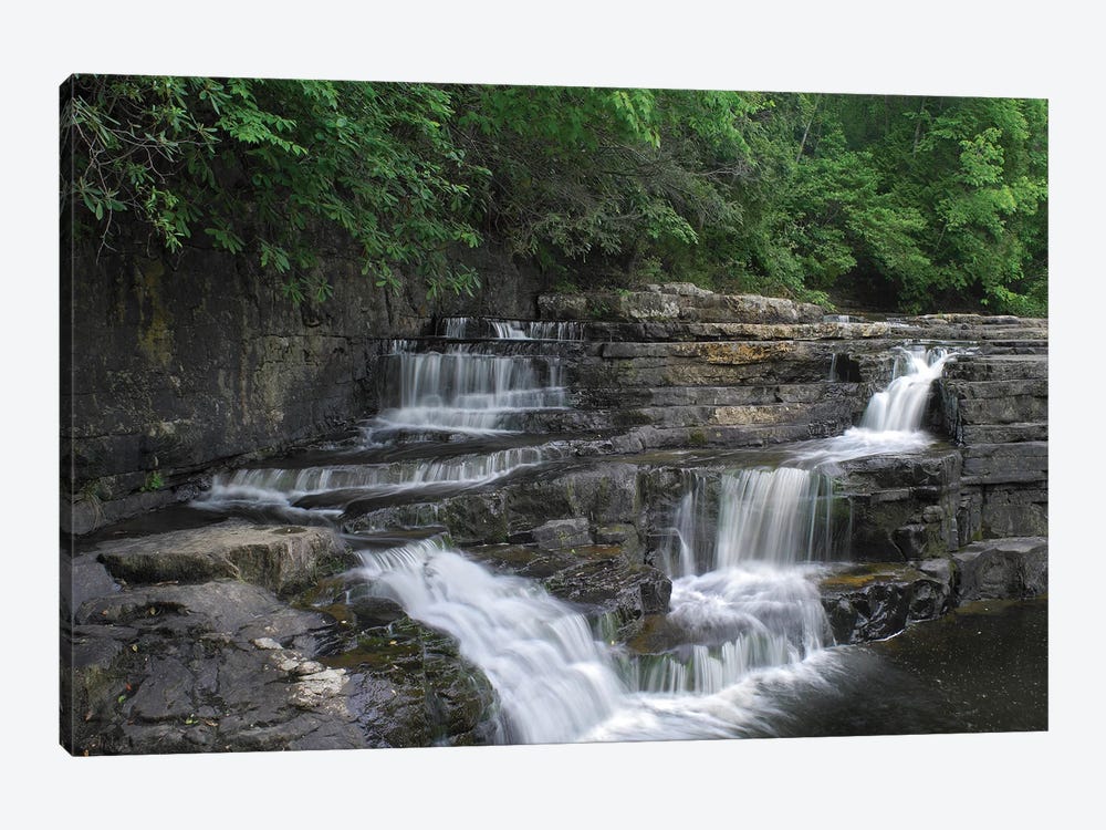 Dismal Falls, Jefferson National Forest, Virginia by Tim Fitzharris 1-piece Canvas Print