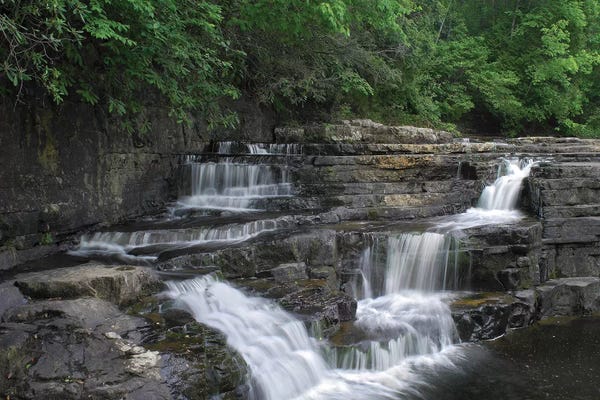 Virginia: Dismal Falls, Jefferson National Forest, Virginia by Tim Fitzharris