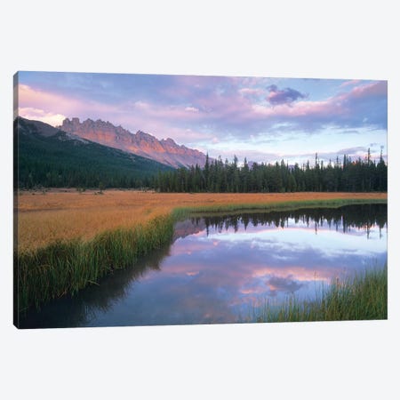 Dolomite Peak And Bow River Backwaters, Banff National Park, Alberta, Canada Canvas Print #TFI311} by Tim Fitzharris Canvas Wall Art