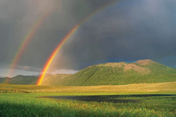 Idaho: Double Rainbow Over Boulder Mountains After A Storm, Idaho by Tim Fitzharris