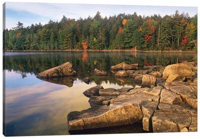 Eagle Lake, Acadia National Park, Maine Canvas Art Print - Evergreen Tree Art