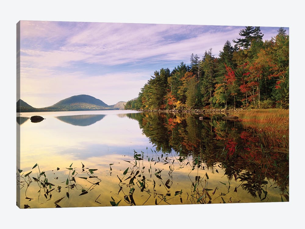 Eagle Lake, Mount Desert Island, Acadia National Park, Maine by Tim Fitzharris 1-piece Canvas Art