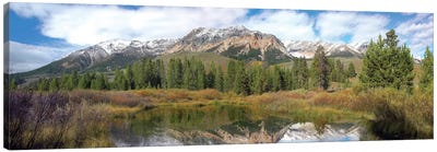 Easely Peak, Boulder Mountains, Idaho Canvas Art Print - Evergreen Tree Art