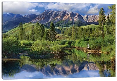 Easely Peak, Sawtooth National Recreation Area, Idaho Canvas Art Print - Mountains Scenic Photography