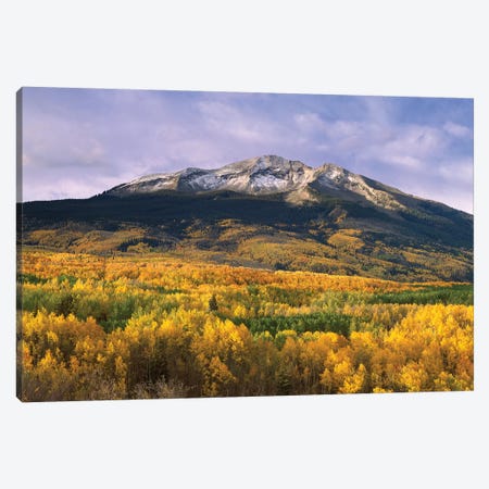 East Beckwith Mountain And Trees In Fall Color, Gunnison National Forest, Colorado Canvas Print #TFI324} by Tim Fitzharris Canvas Artwork