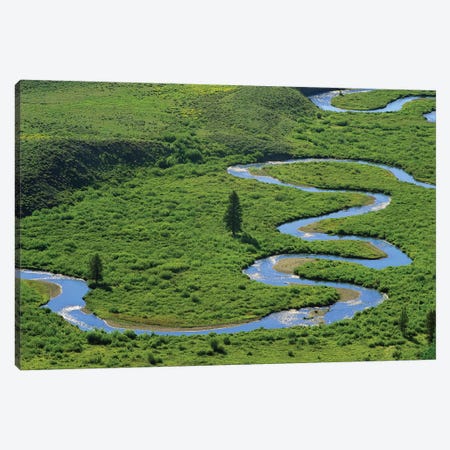 East River Meandering Near Crested Butte, Colorado Canvas Print #TFI327} by Tim Fitzharris Canvas Art