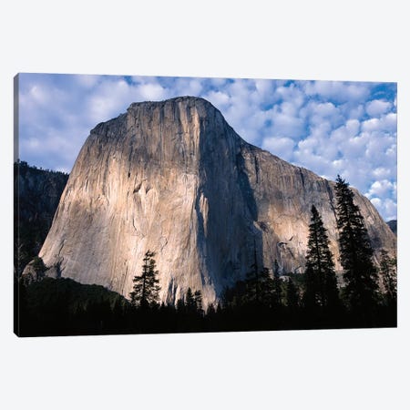 El Capitan Rising Over The Forest, Yosemite National Park, California Canvas Print #TFI334} by Tim Fitzharris Canvas Print