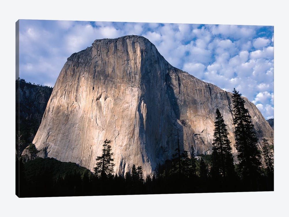El Capitan Rising Over The Forest, Yosemite National Park, California by Tim Fitzharris 1-piece Canvas Art Print