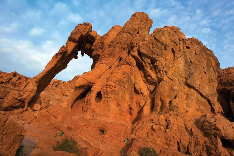 Elephant Rock, A Unique Sandstone Formation, Valley Of Fire State Park, Nevada