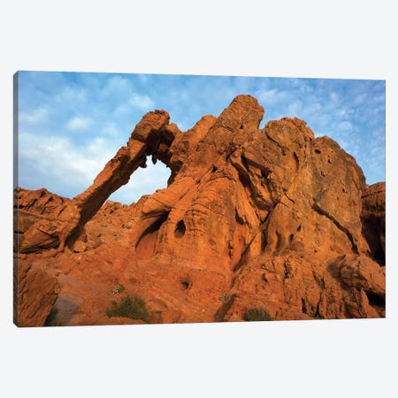 Elephant Rock, A Unique Sandstone Formation, Valley Of Fire State Park, Nevada Canvas Print #TFI340} by Tim Fitzharris Canvas Print
