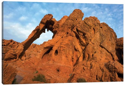 Elephant Rock, A Unique Sandstone Formation, Valley Of Fire State Park, Nevada Canvas Art Print - Nevada Art