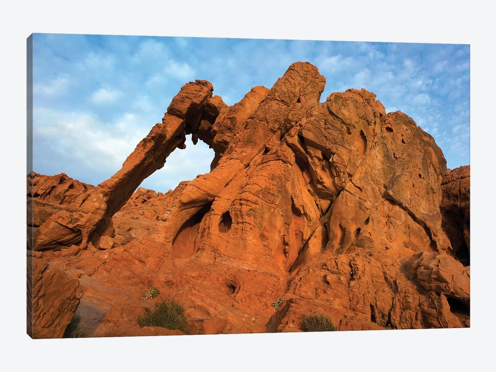 Elephant Rock, A Unique Sandstone Formation, Valley Of Fire State Park, Nevada by Tim Fitzharris 1-piece Canvas Art