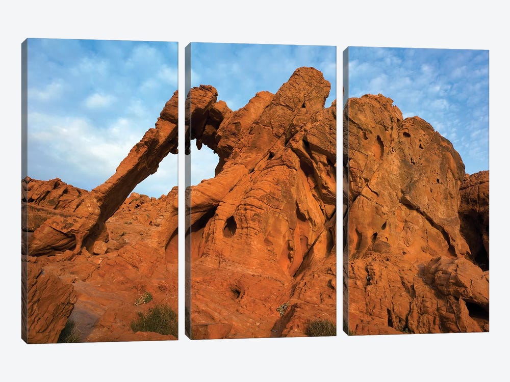 Elephant Rock, A Unique Sandstone Formation, Valley Of Fire State Park, Nevada by Tim Fitzharris 3-piece Canvas Wall Art