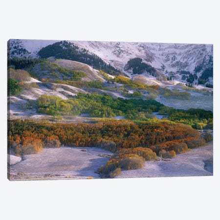 Elk Mountains With Dusting Of Snow, Colorado Canvas Print #TFI344} by Tim Fitzharris Canvas Wall Art