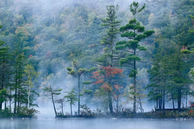 Emerald Lake In Fog, Emerald Lake State Park, Vermont