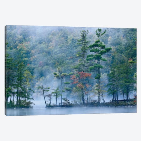 Emerald Lake In Fog, Emerald Lake State Park, Vermont Canvas Print #TFI345} by Tim Fitzharris Canvas Wall Art