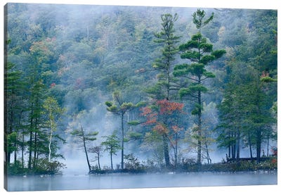 Emerald Lake In Fog, Emerald Lake State Park, Vermont Canvas Art Print - Vermont Art