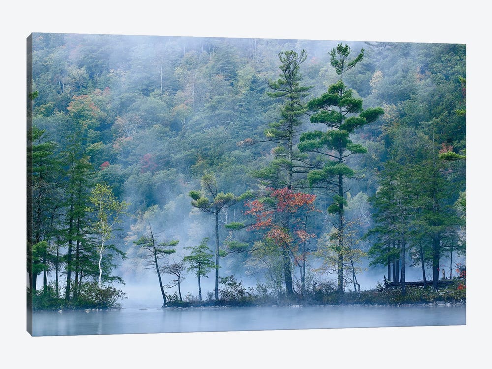 Emerald Lake In Fog, Emerald Lake State Park, Vermont by Tim Fitzharris 1-piece Art Print