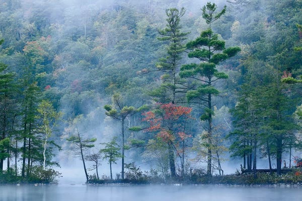 Emerald Lake In Fog, Emerald Lake State Park, Vermont